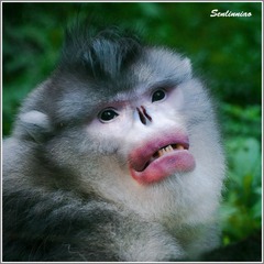 DSC_5077副本.jpg