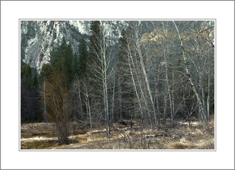 DSC_6016=副本.jpg