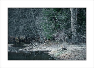 DSC_6187=副本.jpg