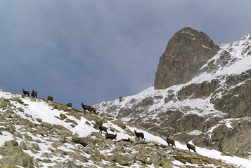 DSC_2565副本.jpg