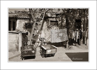 DSC_7588-副本.jpg