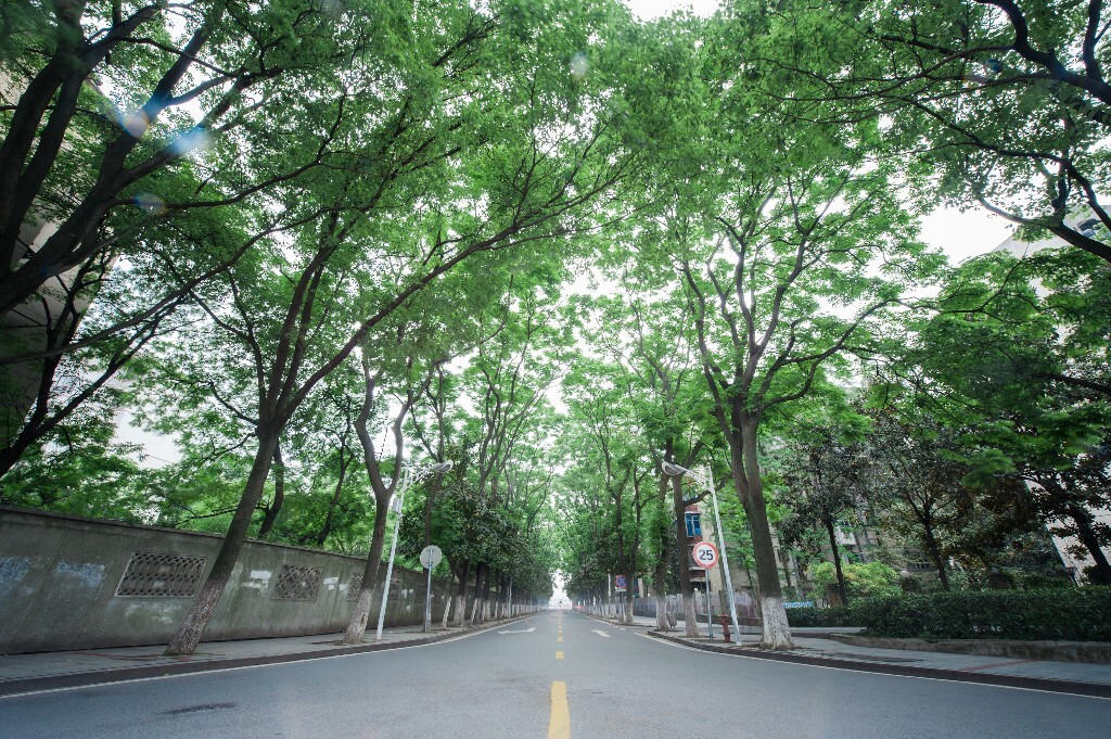 进本部的路