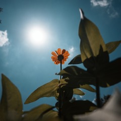 1000012316