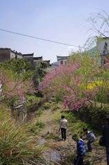 桃花源记