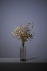 _EPS0226