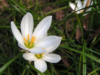 08