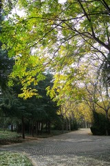 3小