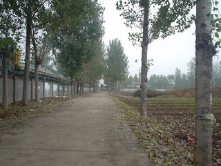 DSC00286__