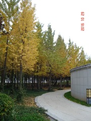 DSC03567__