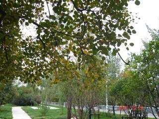 DSC03629__