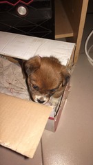 2016-01-21-0276