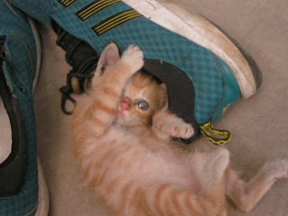 PICT0025