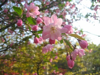 018