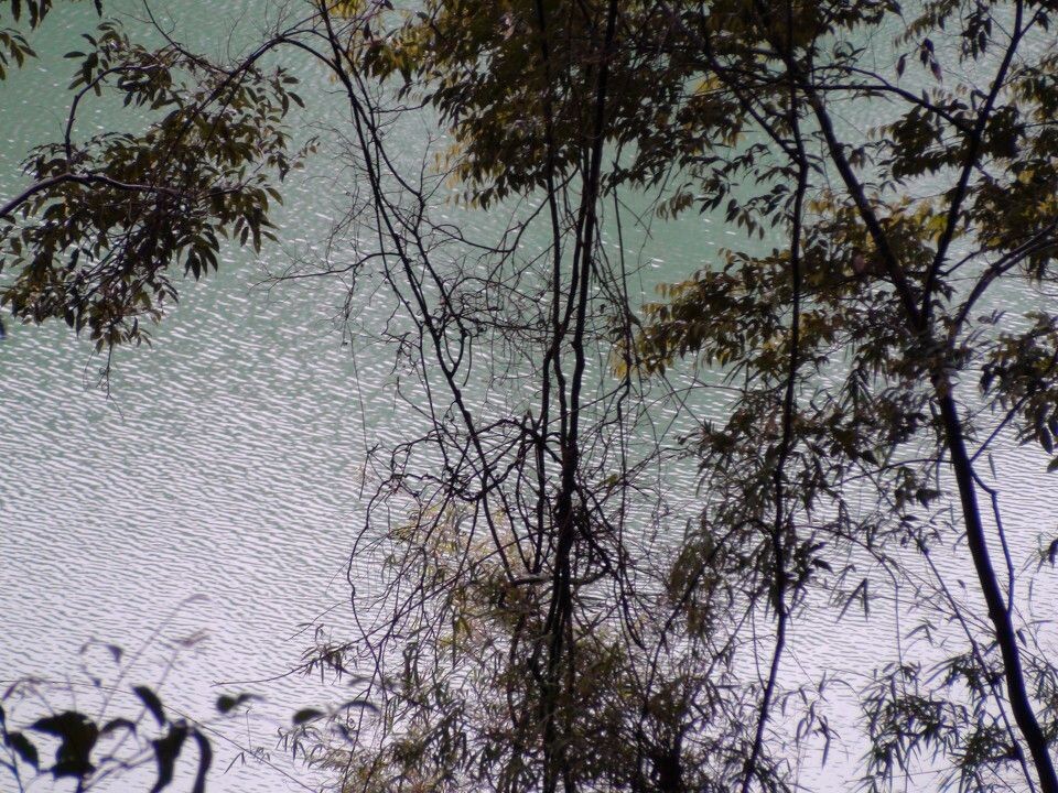 《秀色山河--广东从化》<br />
