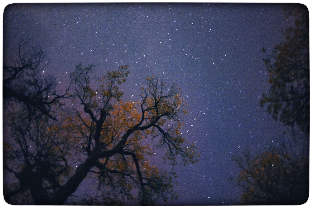 青海湖的满天星