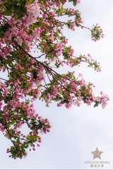 88B09EE8-D502-46F3-B41D-E1D25E945F80/L0/001