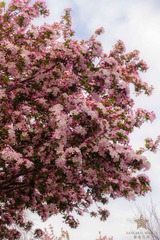 C14E182F-D8EC-4959-B996-FD21E4221255/L0/001