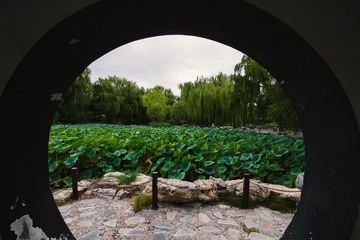 P9100600-19