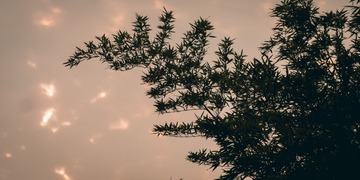 20240728-P7280185