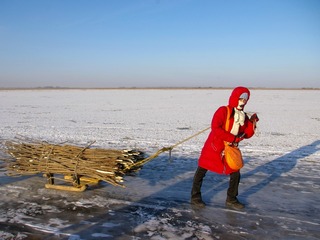 20070124-IMGP2899