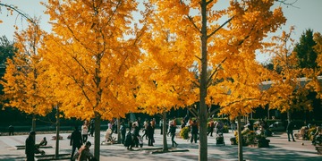 DSC00394-30