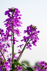 P5010077