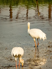 20250223-DSC04290