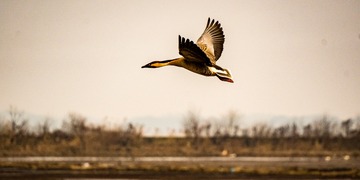 20250223-DSC04384