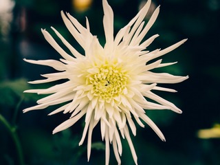 DSC00239-17