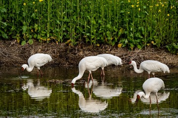 20250223-DSC04417