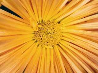 DSC00300-54