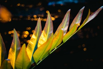 DSC00949-58