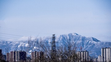 IMGP5739-1