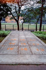 27290007.jpg