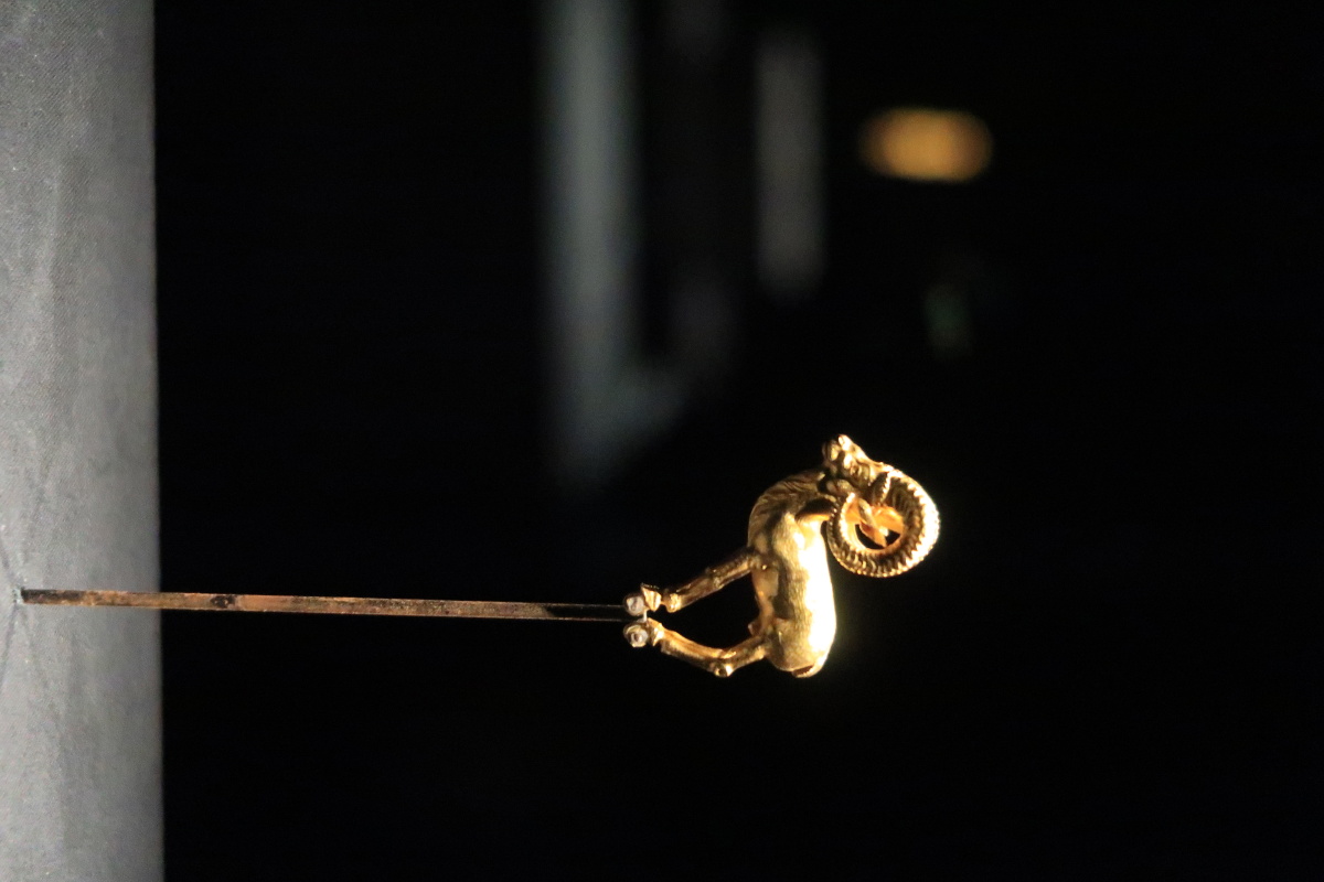 耀世遗珍阿富汗金羊