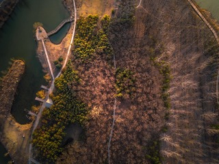 陈闯＋《古黄河风光带植被景观》＋江苏省淮安市清河新区古黄河风景区