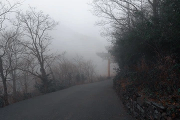 这很rkrkrk