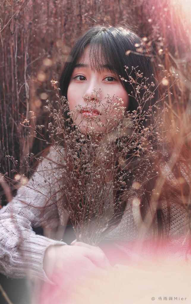 蒲