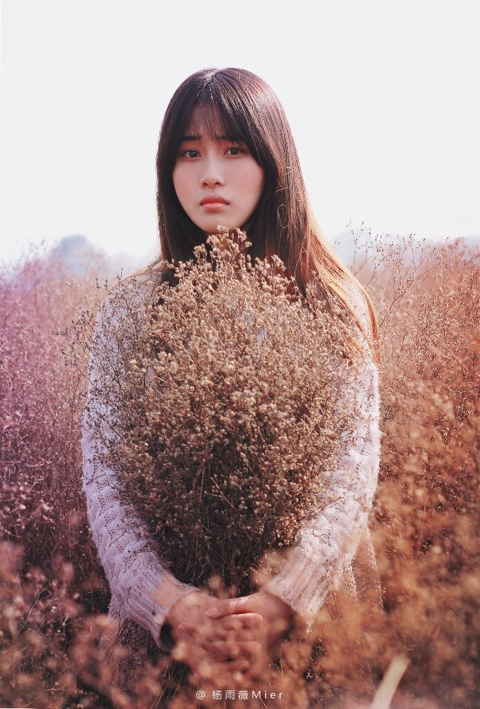 蒲