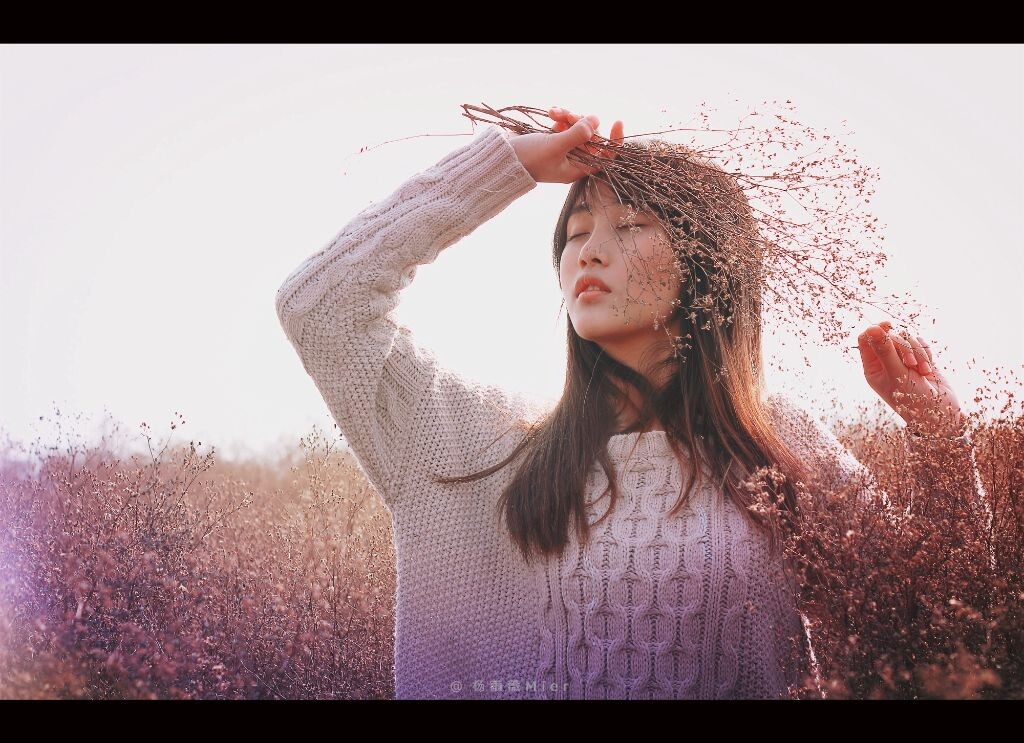 蒲