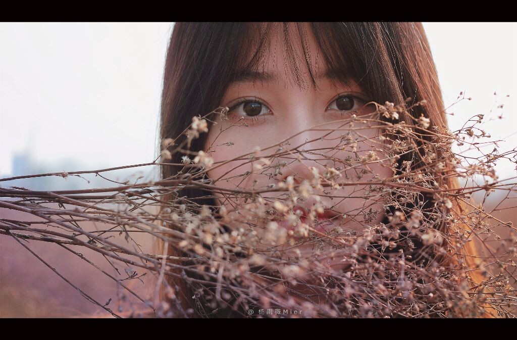蒲