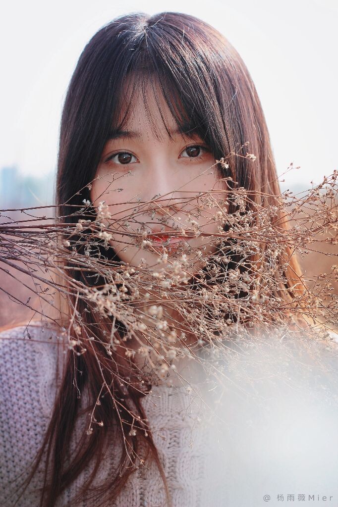 蒲