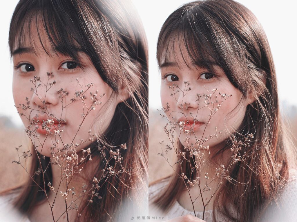 蒲