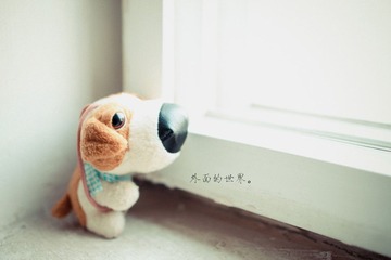 外面的世界