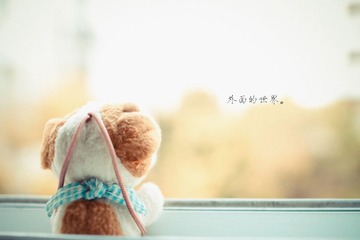 外面的世界
