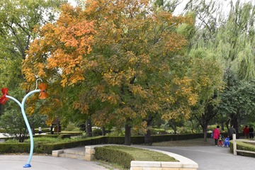 20110409