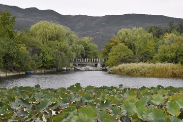 20110409