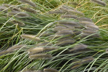 20110409