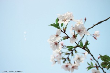 20110413