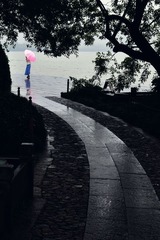 西湖-曲径通幽处